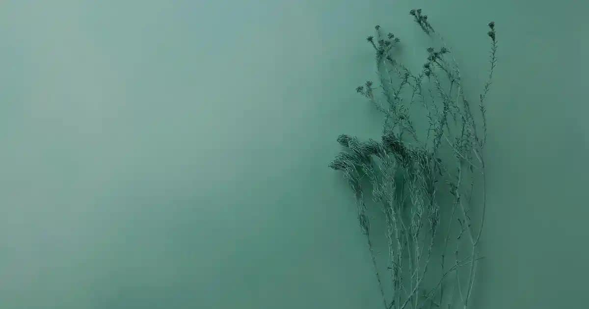 2025'te Siyah Deri Pantolonla Tarzınızı Baştan Yaratmanın 5 Sırrı