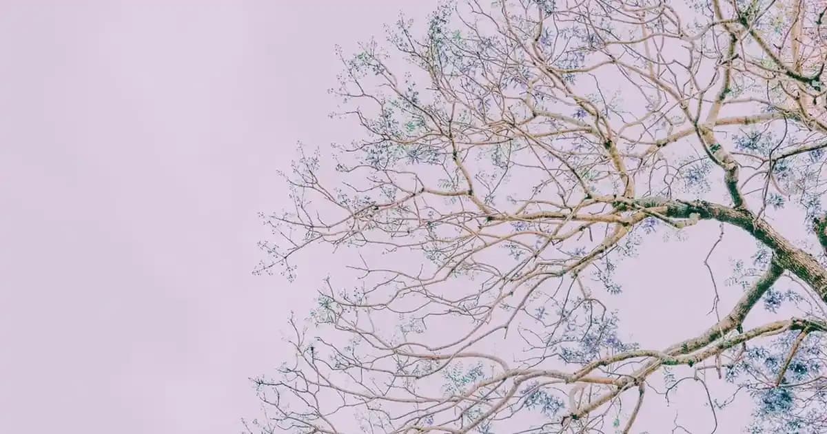 Siyah Şapka Modelleri ve Kombinasyon İpuçlarıyla Tarzınızı Yükseltin