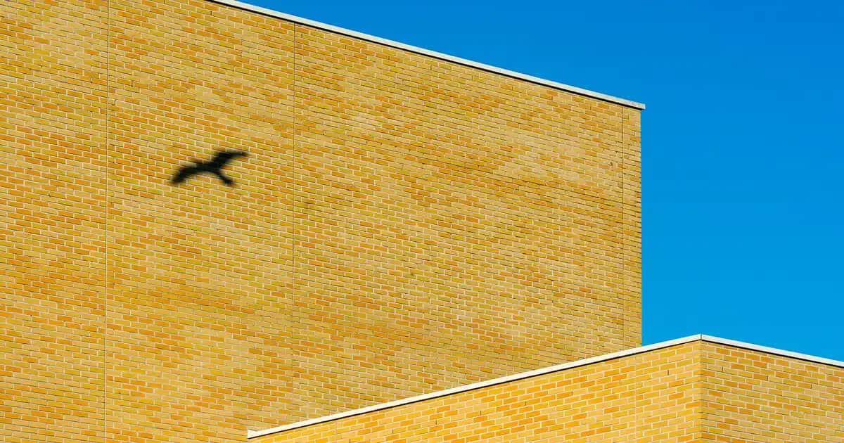 Slazenger Polar Hırka: Kış Ayları İçin Konforlu ve Şık Giyim Seçenekleri