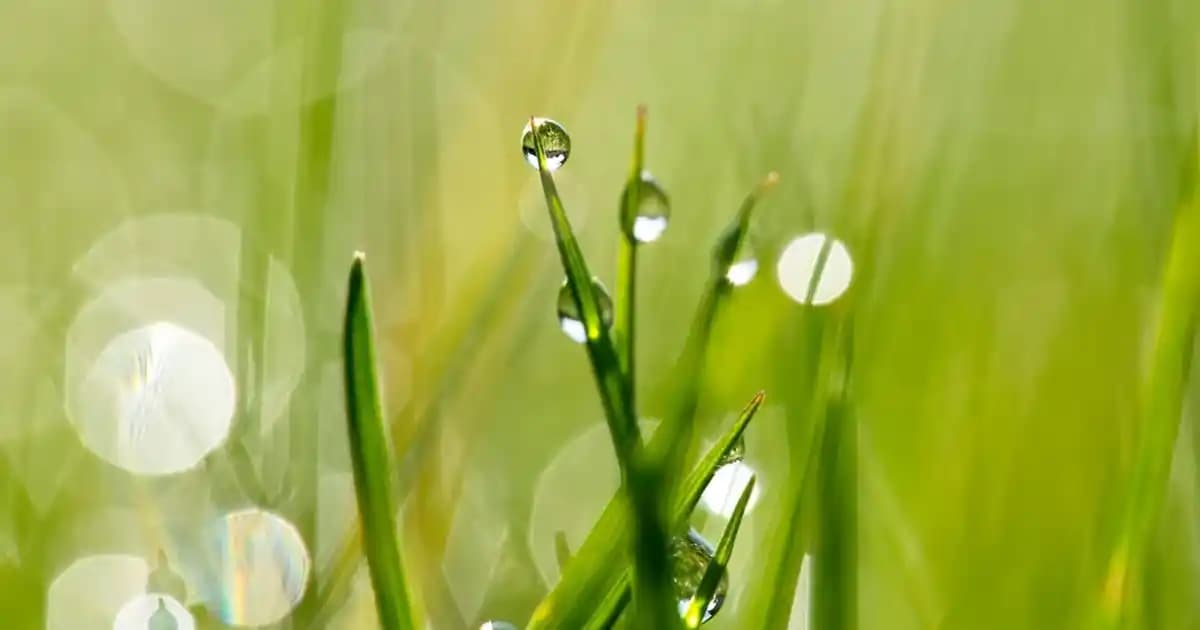 Slim Straight Jean Nedir? Moda ve Stil İpuçlarıyla Modern Jean Seçenekleri