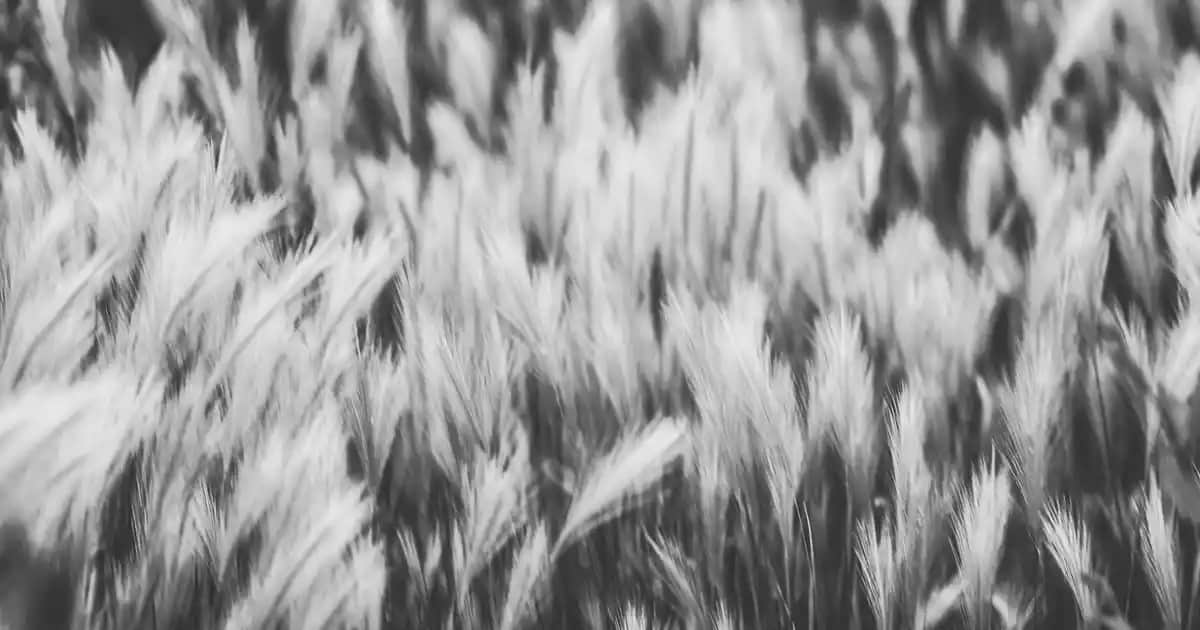 Tesettür Denim Elbise Trendleri ve Modelleri: Güncel ve Şık Giyim Seçenekleri