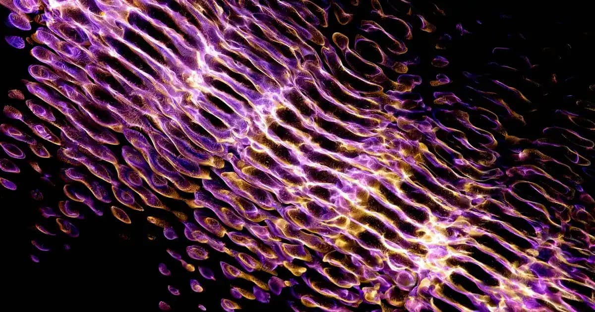 Tesettür Uzun Mont Modelleri ve Trendleri 2024 Güncel Seçenekler