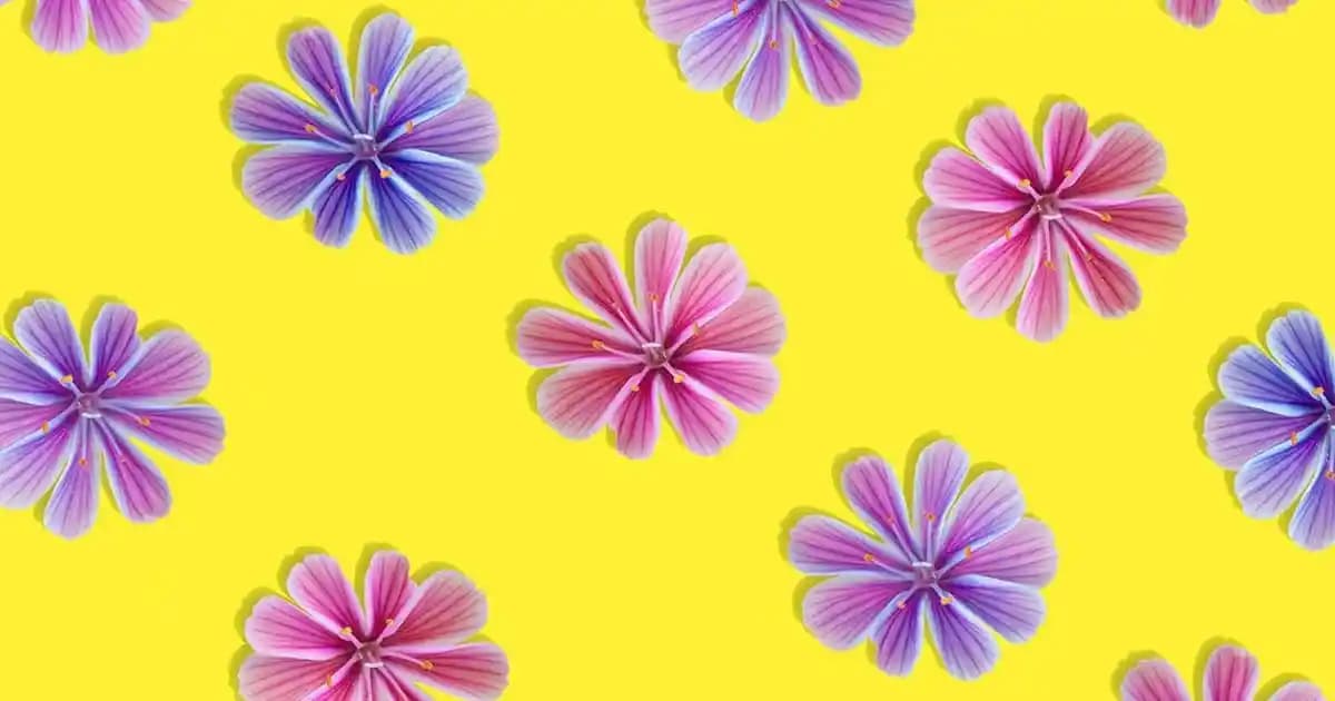 Ucuz Erkek Pantolonları Alırken Dikkat Edilmesi Gerekenler ve Güncel Trendler