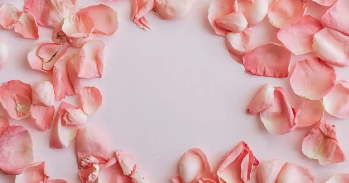 Yazlık Penye Tayt Modelleri: Konfor ve Şıklık Sunan Yaz Ayları İçin En İyi Seçenekler