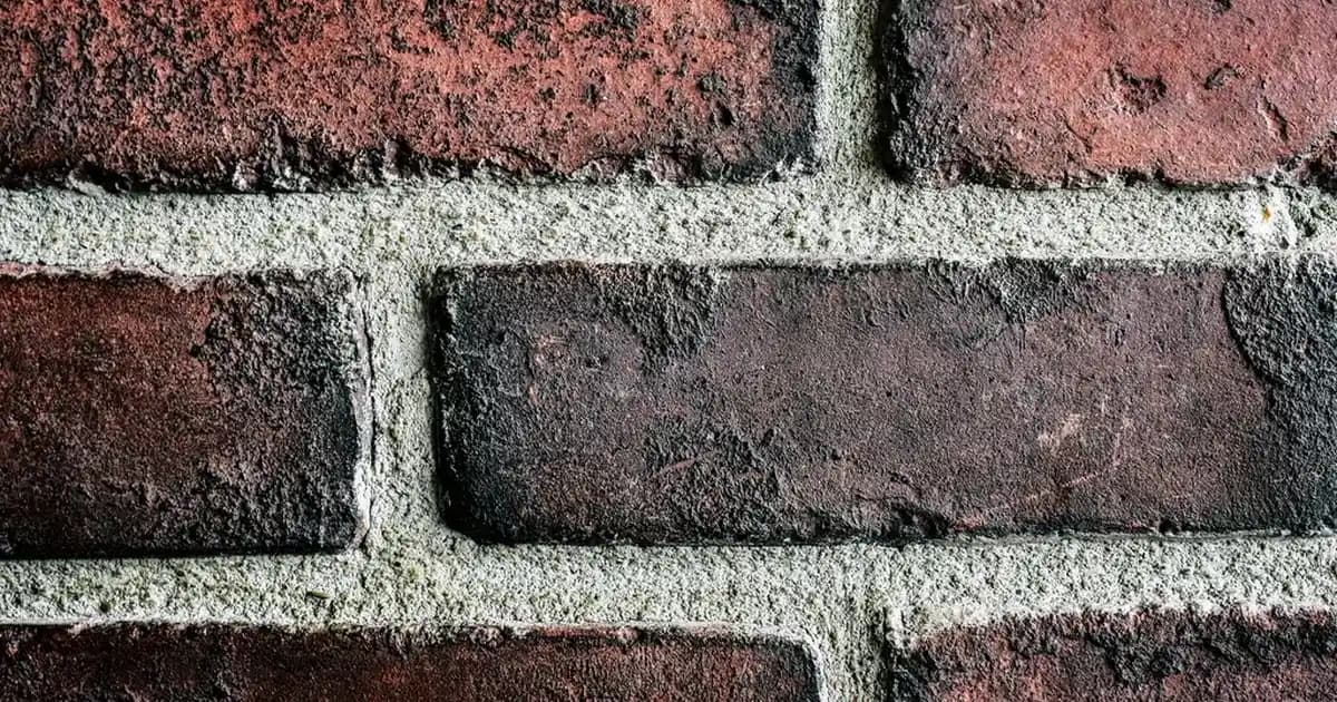 36 Numara Basketbol Ayakkabısı Seçerken Dikkat Edilmesi Gerekenler ve En İyi Modeller