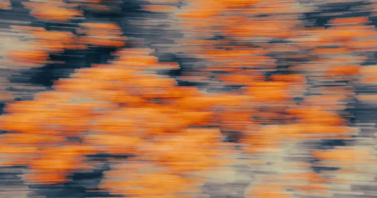 Atatürk İmzalı Galatasaray Formaları: Tarih ve Gururun Buluşması