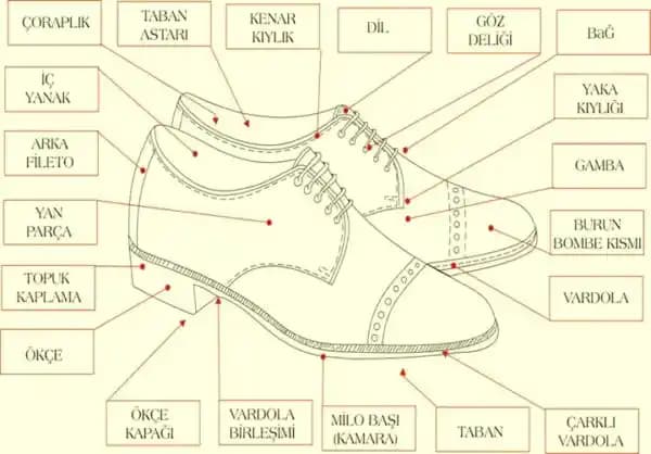 Ayakkabının Temel Bölümleri ve İşlevleri: Tasarım ve Sağlık Açısından Detaylı İnceleme