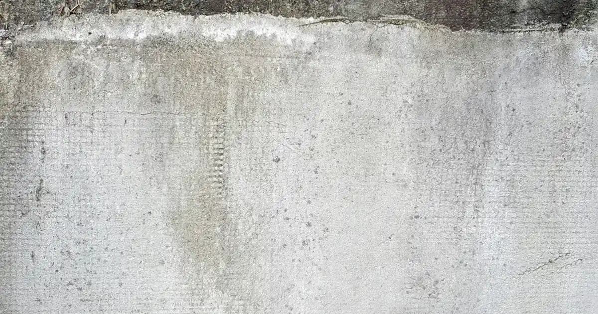 Disney Ayakkabıları: Çocuk ve Yetişkinler İçin Renkli ve Şık Tasarımlar