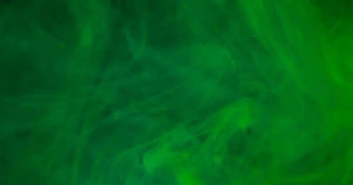 Dungaree Nedir ve Günümüzde Moda ile Fonksiyonelliğin Buluşması