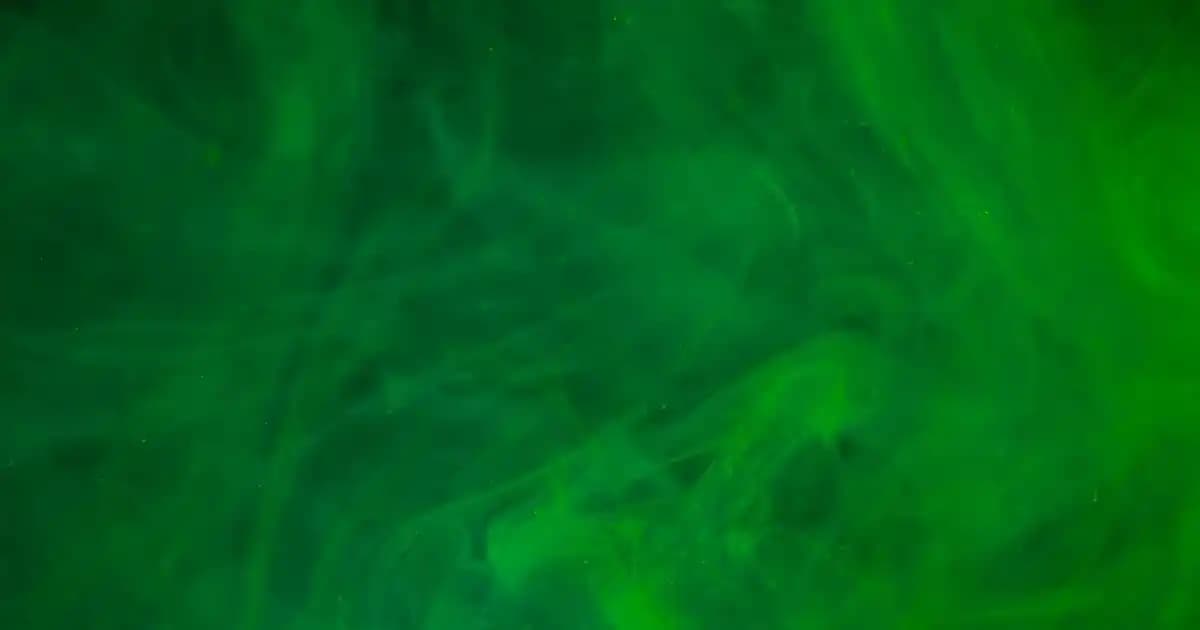 Dungaree Nedir ve Günümüzde Moda ile Fonksiyonelliğin Buluşması