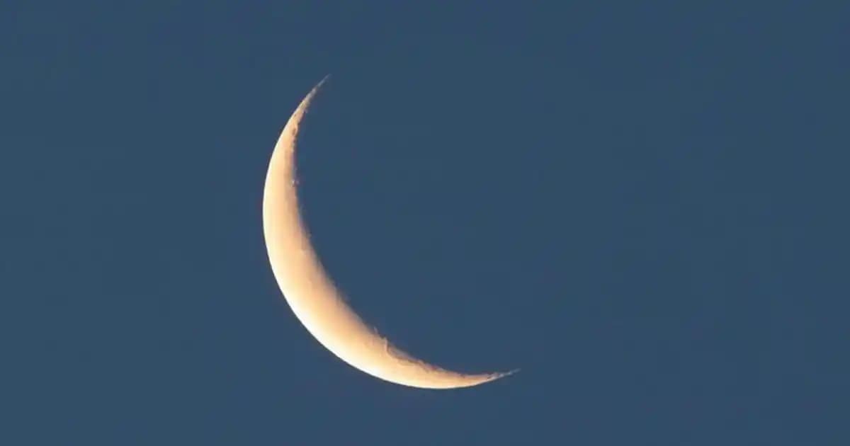 Fabrika Erkek Botları: Şıklık ve Konforu Bir Arada Sunan Modeller