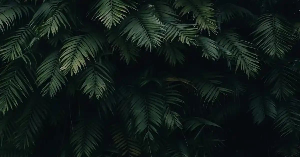 Kadın Kahverengi Bot Seçenekleriyle Şıklık ve Konforu Bir Arada Yakalayın