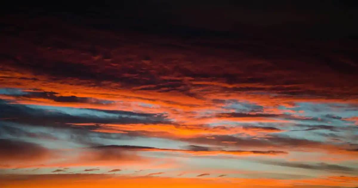 Nike Air Vapormax: Güncel Trendler ve Teknolojinin Buluştuğu Spor Ayakkabı Seçenekleri