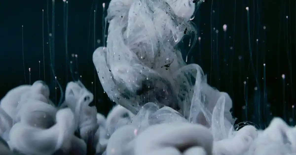 Polaris Panduflar: Konfor ve Şıklığı Bir Arada Sunan Kış Pandufu Modelleri