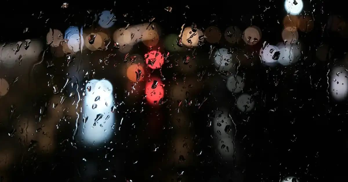 Tesettür İçlik Tunikleri: Modern ve Şık Tasarımlarla Günlük Kullanım İçin Ideal Seçenekler