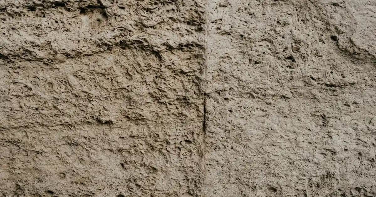 Zara Büyük Beden Koleksiyonu: Şıklık ve Rahatlığı Bir Arada Sunan Trendler