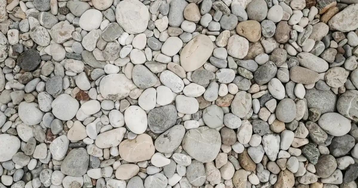 5-6 Yaş Çocuklar İçin Moda ve Fonksiyonelliği Bir Arada Sunan Yelek Seçenekleri