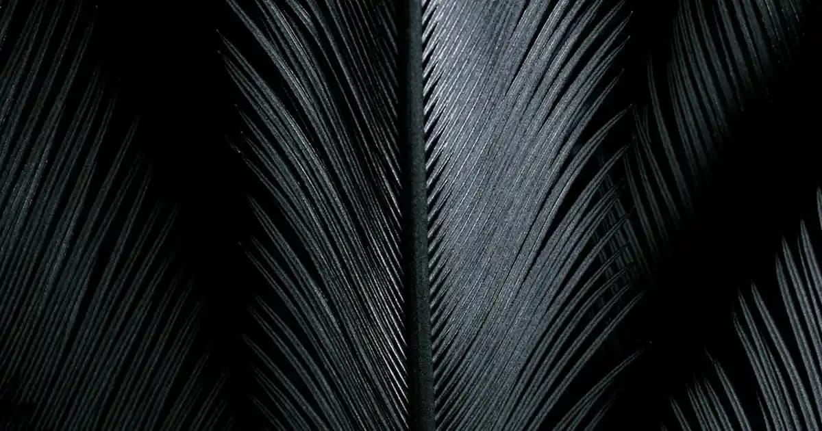 56 Numara Ayaklar İçin Moda ve Stil Rehberi: Şık ve Rahat Giyim İpuçları