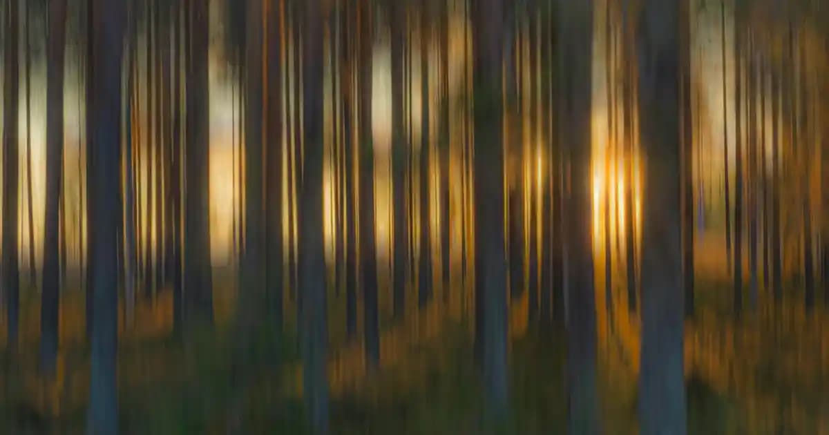 Air Jordan 16 Spor ve Moda Dünyasında Efsanevi Bir Ayakkabı Modeli