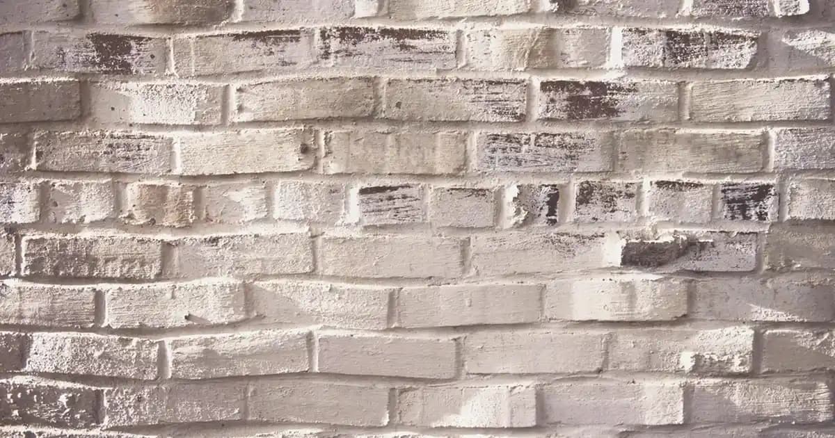 Ankara Crocs: Konfor ve Şıklığı Bir Arada Sunan Moda Markası Analizi