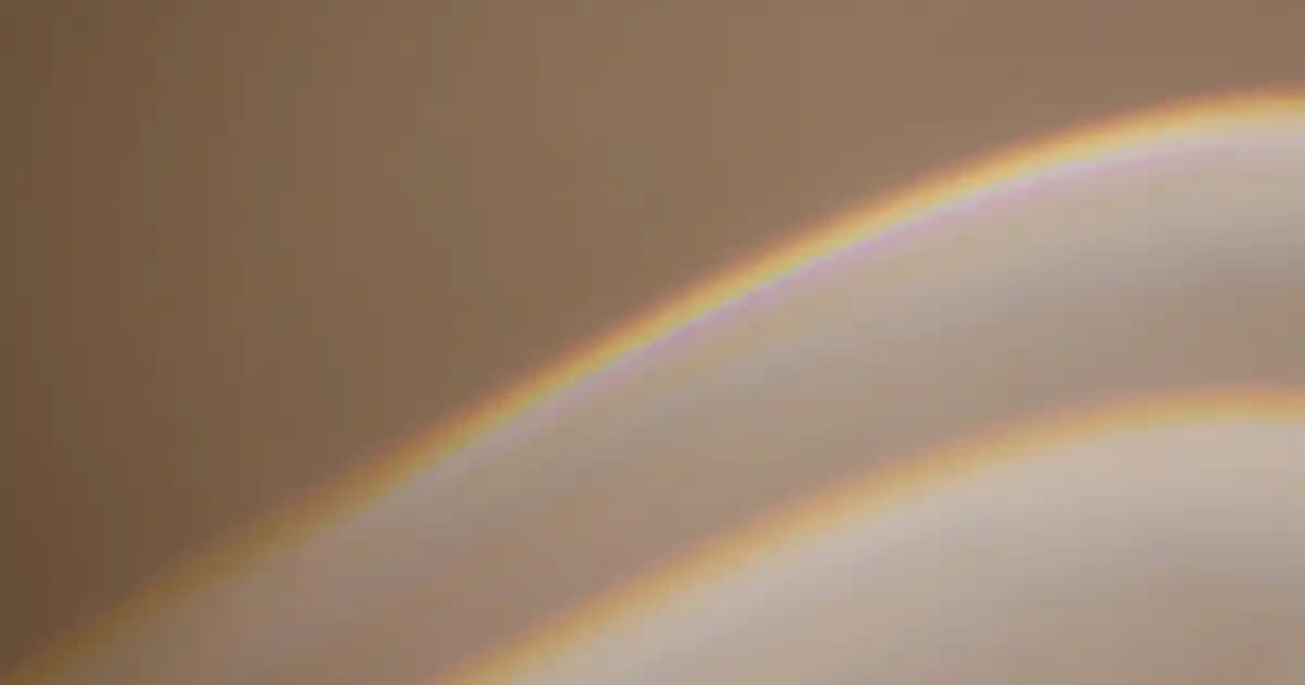 Antalya'da Lacoste Mağazaları ve Moda Tutkunları İçin Stil Rehberi