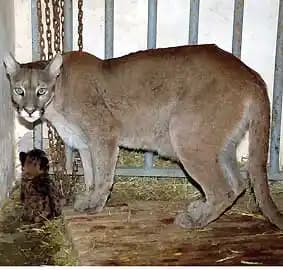 Antalya'da Moda ve Puma Markasının Şehrin Dinamikleriyle Buluşması