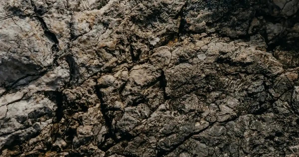 Beymen Business Outletleri: Kurumsal ve Bireysel Müşterilere Yönelik Lüks Moda Deneyimi