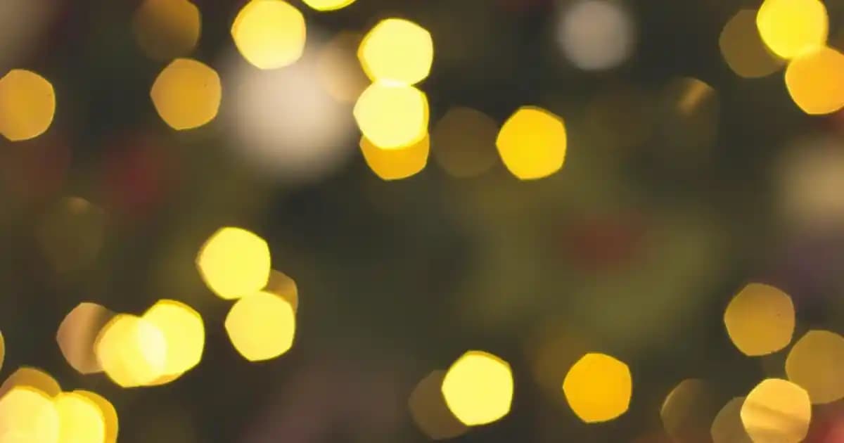 Calvin Klein Elbise Koleksiyonlarıyla Zarafet ve Şıklık Sunan Modern Moda Seçenekleri