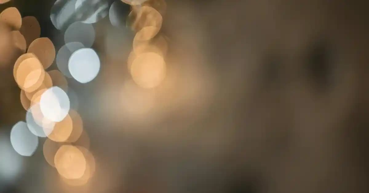 Calvin Klein Erkek Bot Koleksiyonu: Modern ve Şık Tasarımlarla Erkek Modasında Öne Çıkın