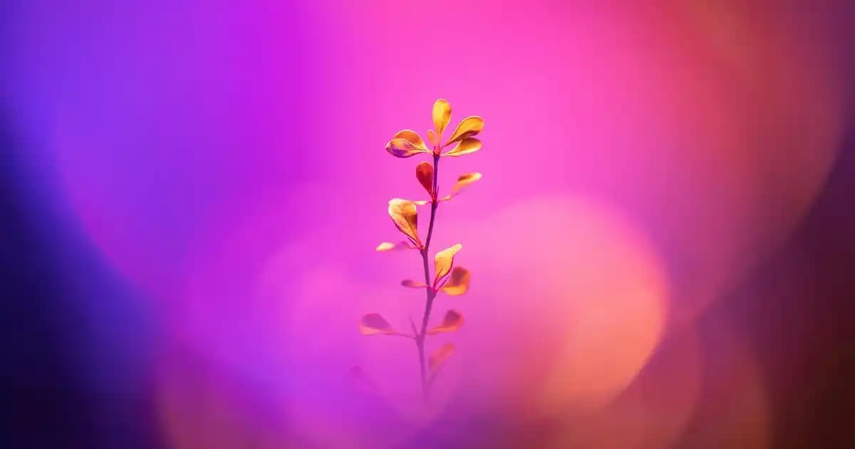 Damat Beyaz Gömlekleri Seçimi ve Stil İpuçları Düğünlerde Şıklık ve Zarafet İçin