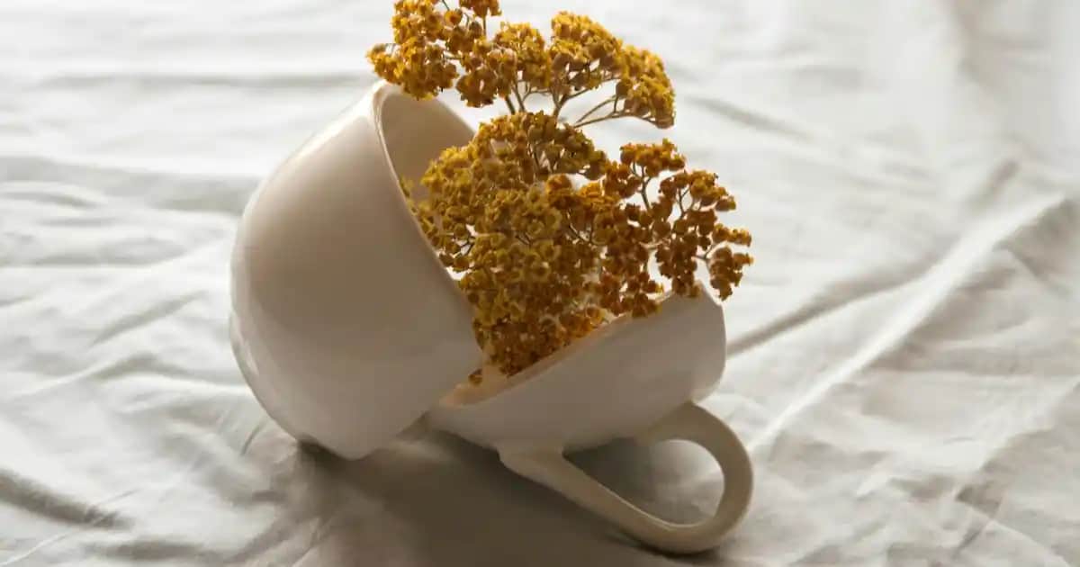 EA7 Spor Eşofmanları: Moda ve Konforu Bir Arada Sunan Şık Tasarımlar