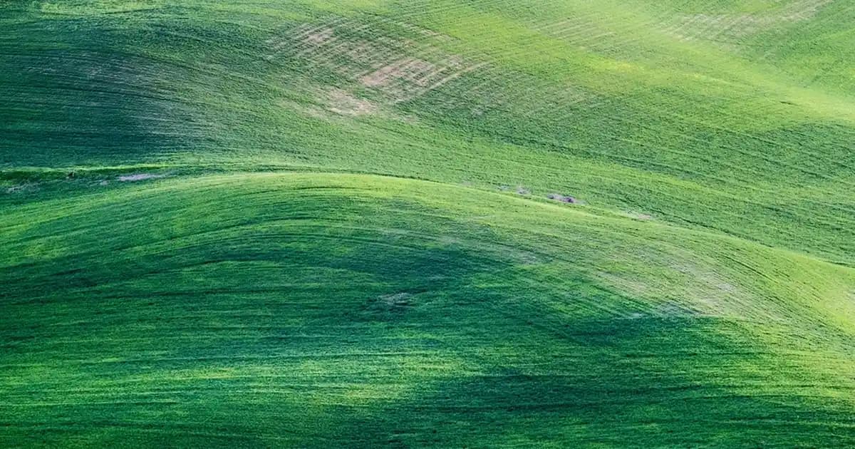 Ekoseli Elbise Modelleri ve Moda Trendleriyle Zamansız Şıklık Rehberi