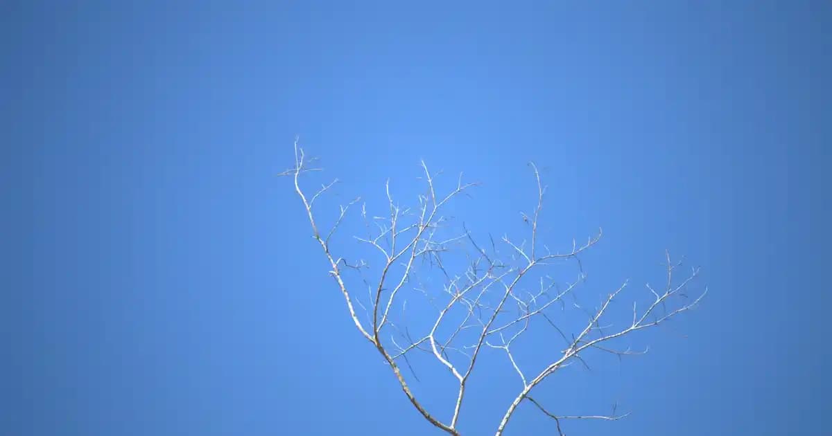 En Moda Elbiseler: Güncel Trendler ve Stil İpuçlarıyla Şıklığınızı Yansıtın