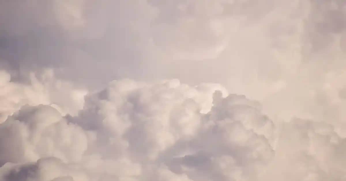 Erkek Örgü Kazak Modelleri: Güncel Trendler ve Stil İpuçları