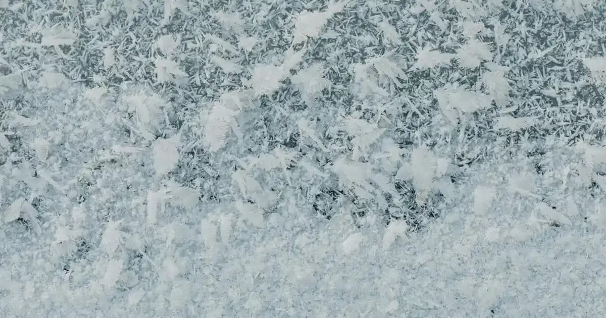 Erkek Patik Çorap Modelleri: Moda ve Konforu Bir Arada Sunan Çorap Seçenekleri