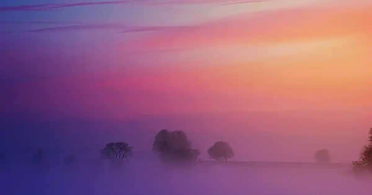 Erkekler İçin Colins Kazak Modelleri ve Stil Tavsiyeleri: Şıklık ve Konforun Buluşması