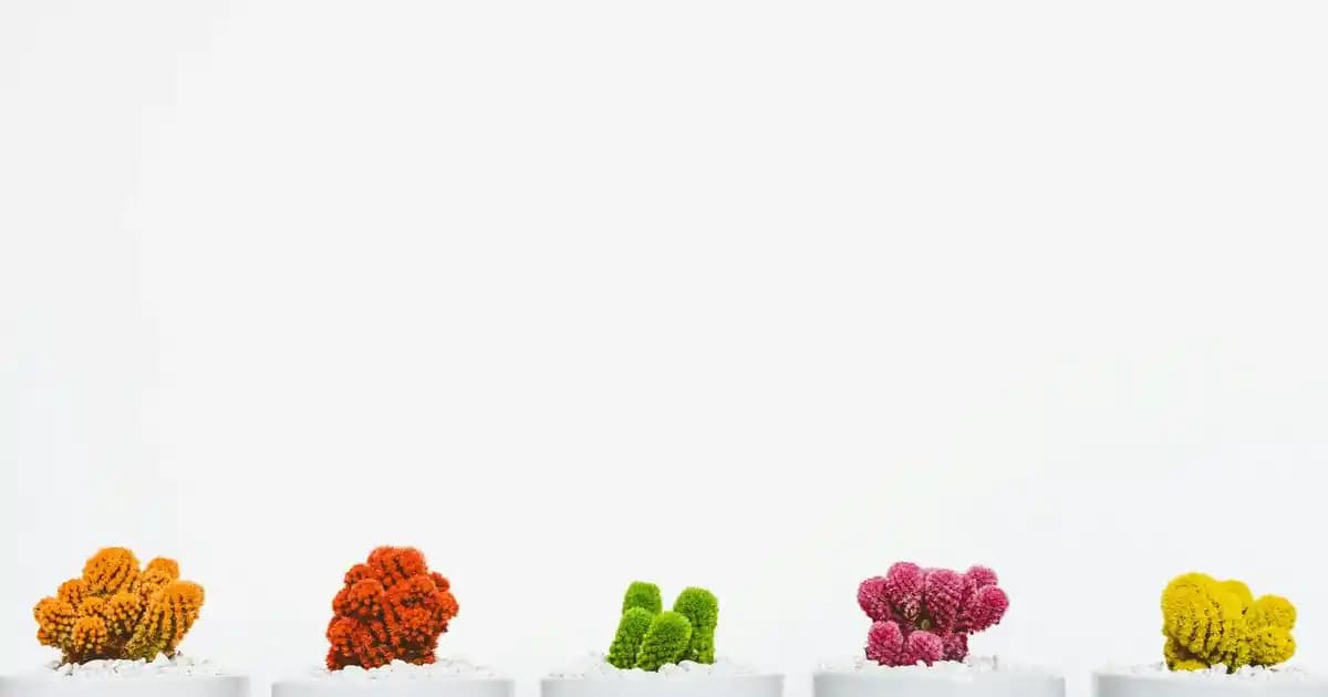 Erkekler İçin Dini Giyim Trendleri ve Moda ile Uyum Sağlama Yöntemleri