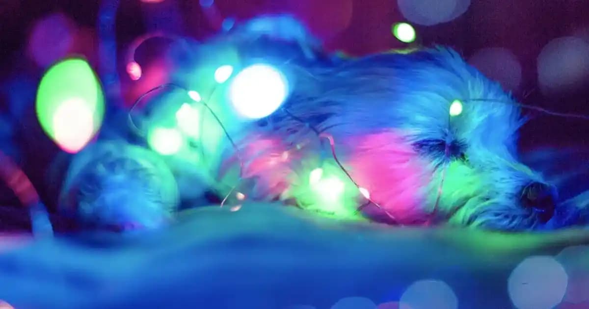 Erkekler İçin Yünlü Deri Yelek Modası ve Stil Önerileri 2023