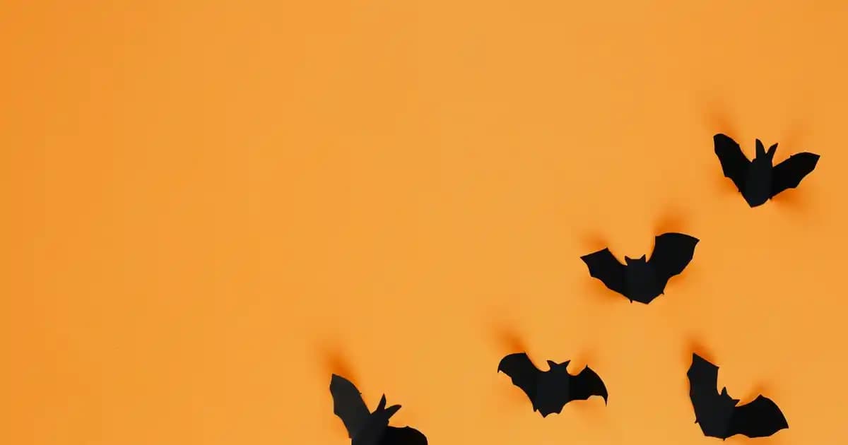 Fabrika Bot Modelleri ve Moda Endüstrisinde Yaratıcılık ile Sürdürülebilirlik