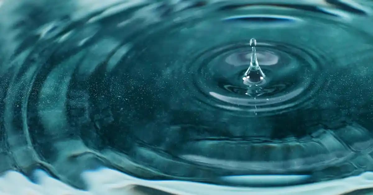 Fitilli Kadife Nedir ve Moda Dünyasında Neden Bu Kadar Popüler Hale Gelmiştir