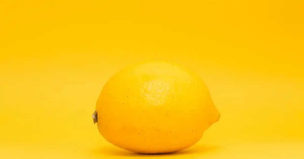 Indigo Gömlek Modası ve Stil Önerileri: Zamansız Şıklığın Temel Parçası