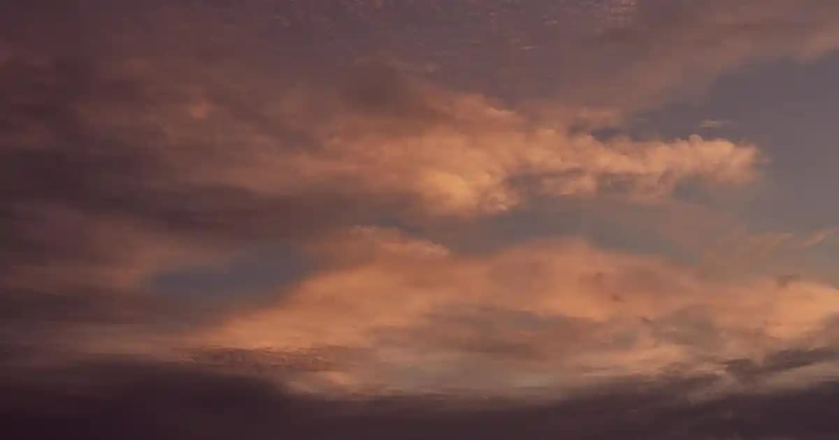 Kadın Modasında Yapay Zeka Destekli CK Botlarıyla Yenilikçi Deneyimler