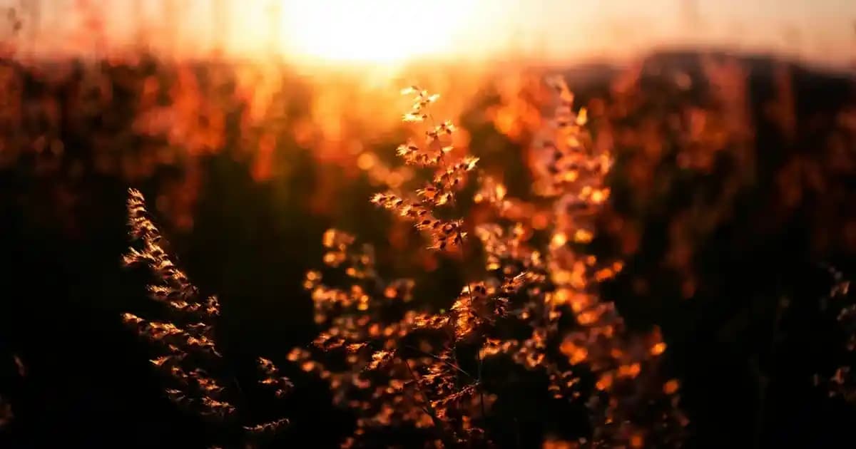 Kadınlar İçin Gömlek İçine Tişört Trendleri ve Stil İpuçları