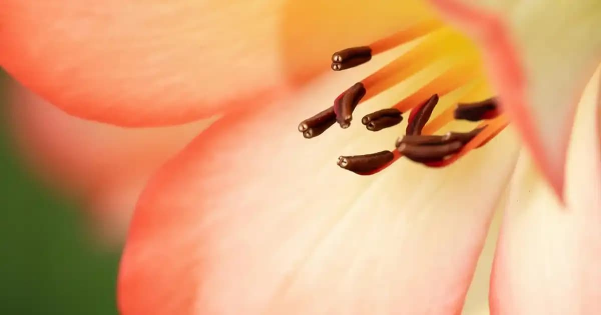 Kişiye Özel Kravatlar: Moda ve Bireyselliği Yansıtan Tasarımlar ve Trendler