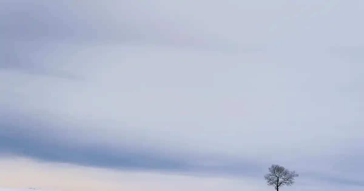 Kot Pantolon Bakımı ve Yıkama Sıklığı Hakkında Güncel Moda ve Bakım Tüyoları