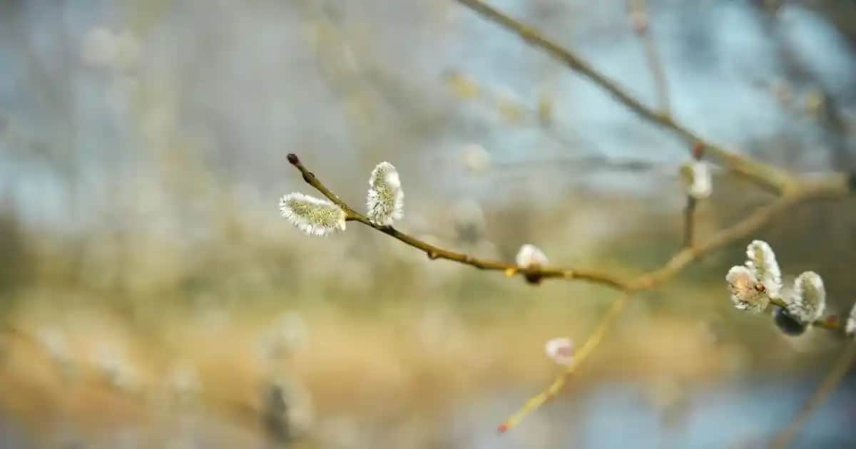 Koyu Indigo Renginin Moda Dünyasındaki Yeri ve Stil Uyumu Analizi