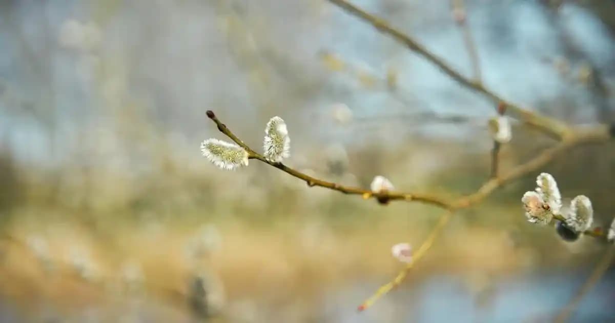Koyu Indigo Renginin Moda Dünyasındaki Yeri ve Stil Uyumu Analizi