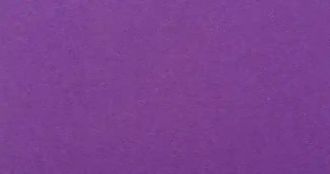 Koyu Lila Renginin Moda Dünyasındaki Yeri ve Kullanım İpuçları