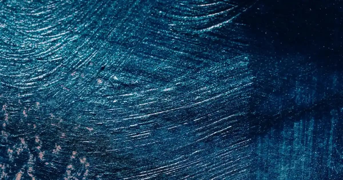 Lacoste Kadın Bez Ayakkabıları: Şıklık ve Konforu Bir Arada Sunan Moda Seçeneği