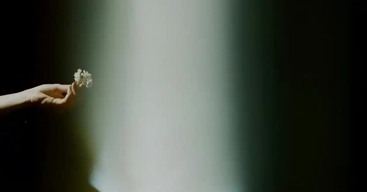 Moda Dünyasında Beden Sıralaması ve En Uygun Kıyafet Seçenekleri